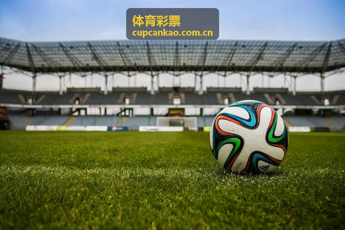 体育彩票票种指南与公开信息核验